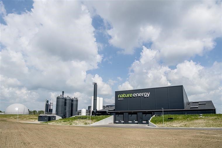 Imagem representativa da notícia: Efacec constrói maior central de biogás da Europa na Dinamarca - Infraestrutura vai alimentar rede de gás natural do país